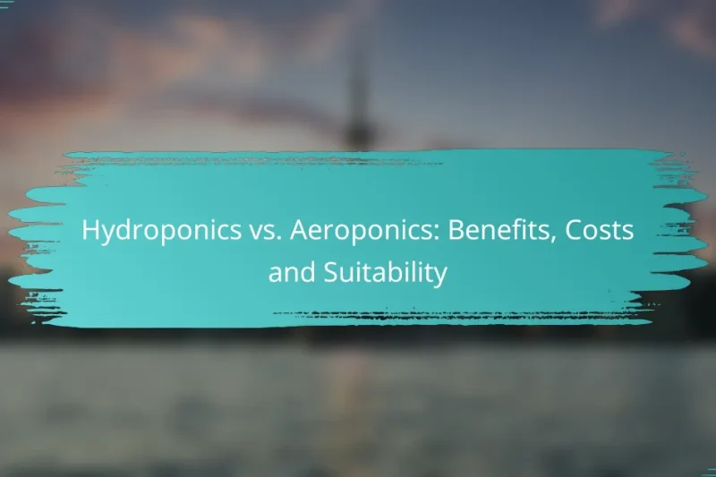 Hydroponics vs. Aeroponics: Benefits, Costs and Suitability