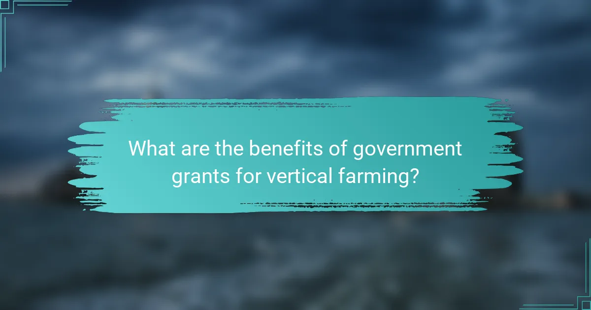 What are the benefits of government grants for vertical farming?
