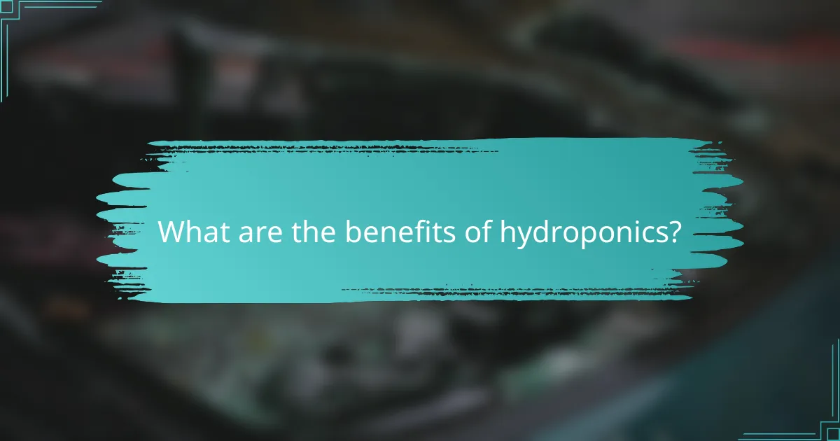 What are the benefits of hydroponics?
